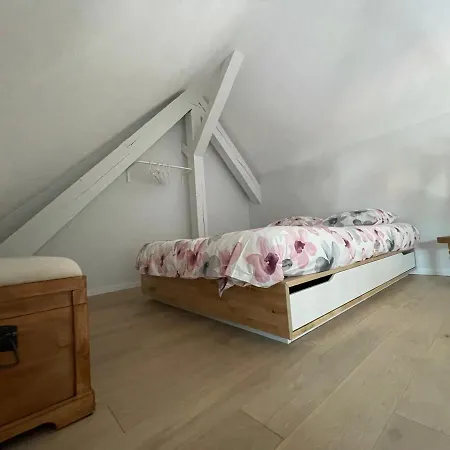 A L'ombre Du Figuier Lägenhet Horbourg