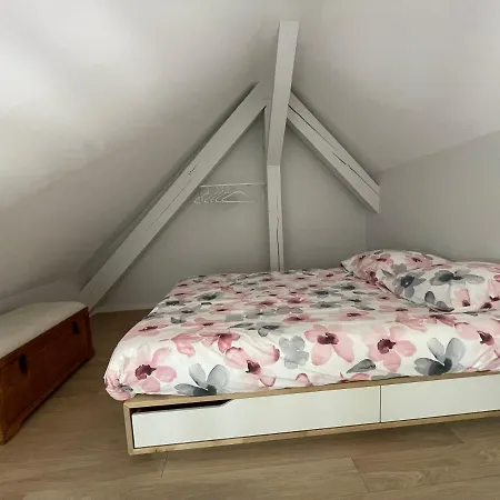 A L'ombre Du Figuier